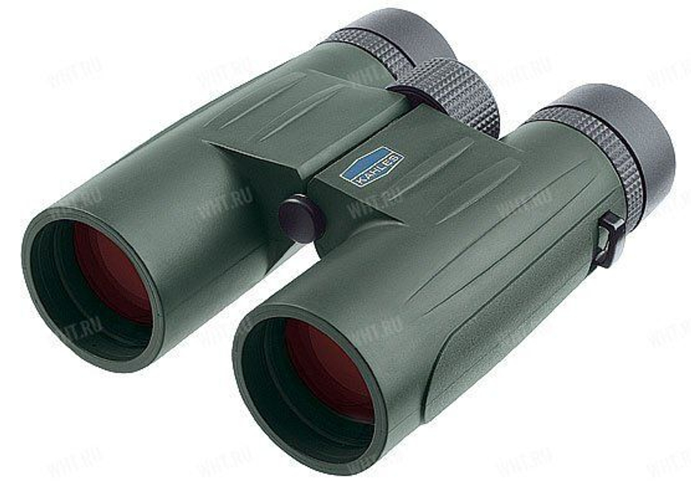 Бинокль Kahles K 8x42, цвет Loden