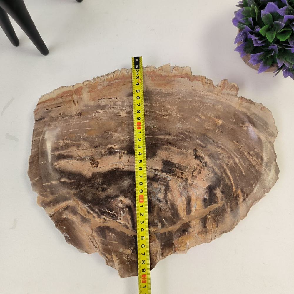Набор из окаменелого дерева 3 предм Fossil Set NF-62865 поднос 30см*40см