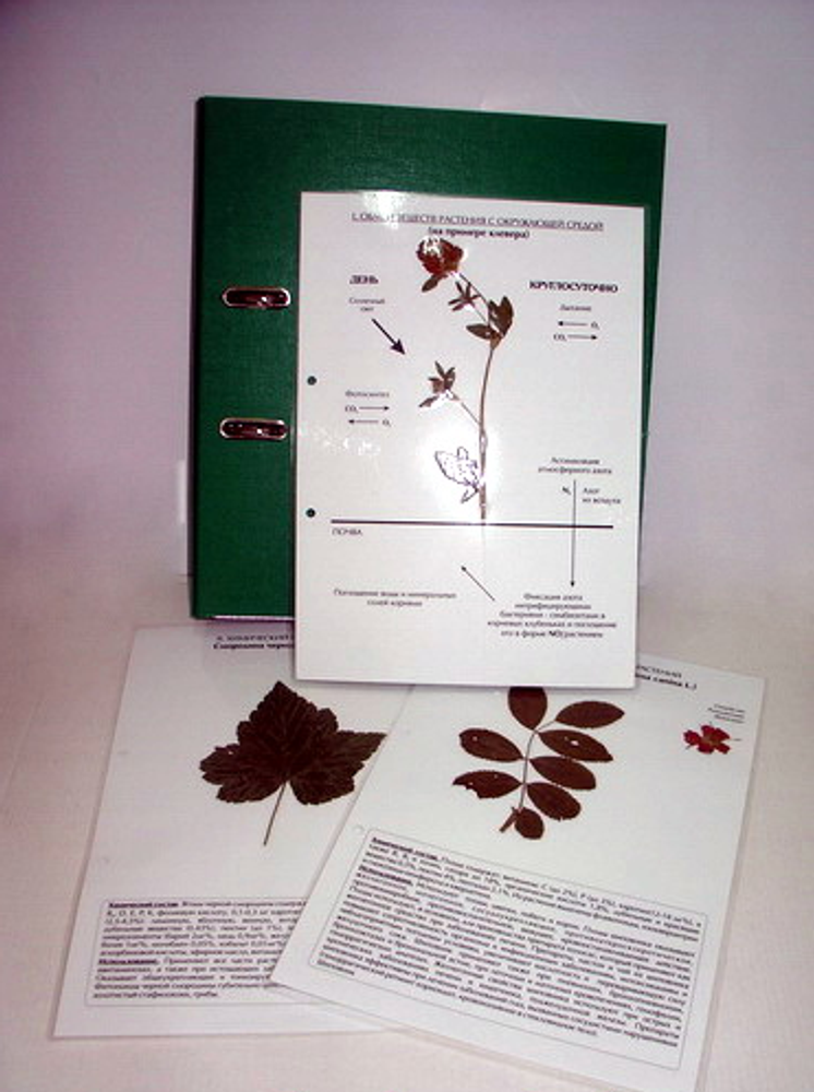 Гербарий к курсу основ общей биологии (20 листов) ламинированный, формат А-4