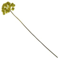 GAEM Цветок искусственный "Дягиль", L16 W16 H80 см