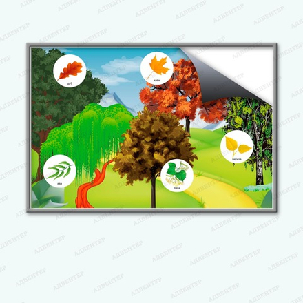 Комплект развивающий ПРИРОДА. ЛИСТВЕННЫЕ ДЕРЕВЬЯ. 2180