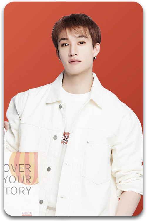 Карта / STRAY KIDS #1328