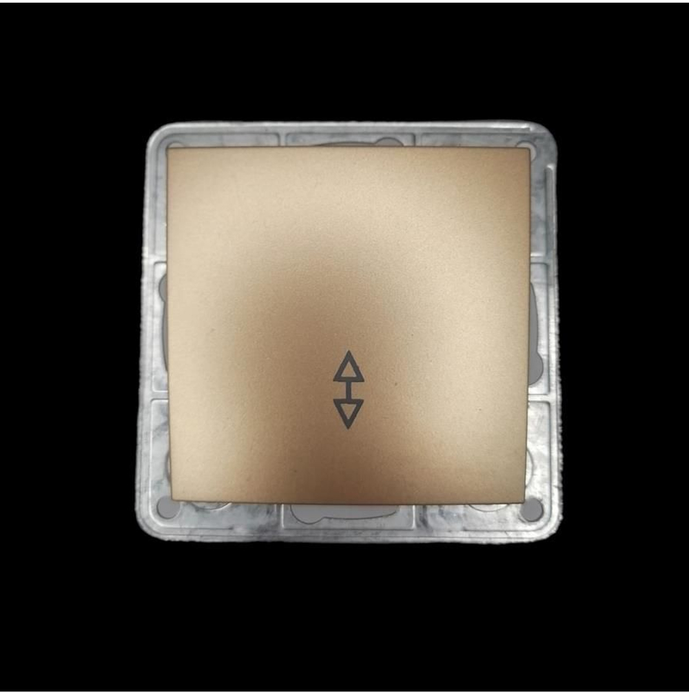 Переключатель 1-кл Profitec Tesla шампань