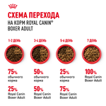 Royal Canin Boxer Adult (БОКСЕР ЭДАЛТ) Корм сухой для взрослых и стареющих собак породы боксер от 15 месяцев 12 кг