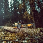 DeWalt FLEXVOLT DCM575X1 аккумуляторная цепная пила (1 x 3 Ач, ЗУ) DCM575X1-QW
