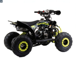 Квадроцикл Racer Raptor 110