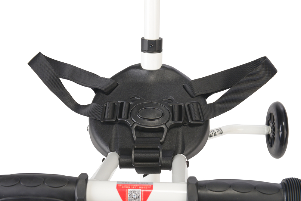 Ремень безопасности для Trike