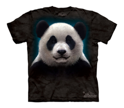 Panda Head