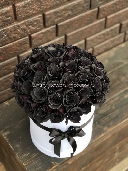51 черная роза в коробке