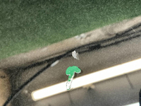 Стекло двери заднее левое GAC GS4 1 (2024-н.в.)