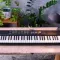 Yamaha PSR-F52 Black
