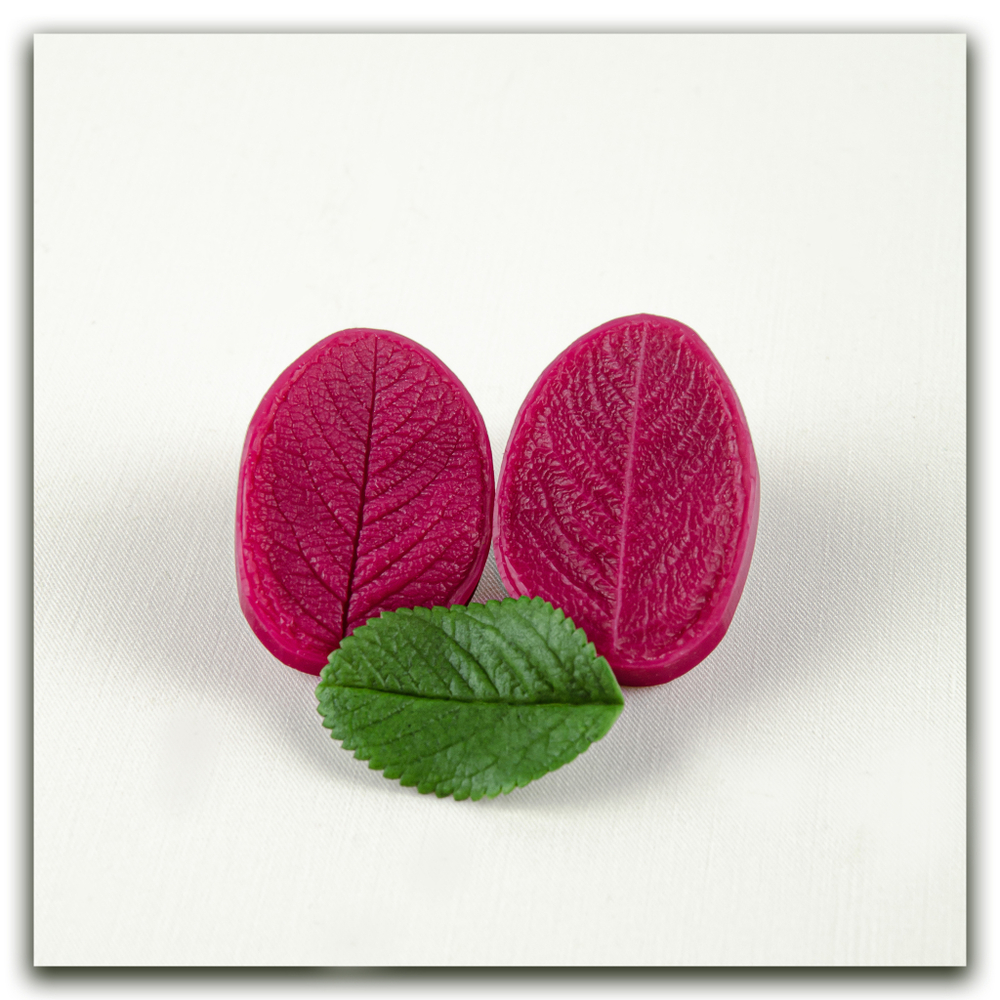 Листья шиповника