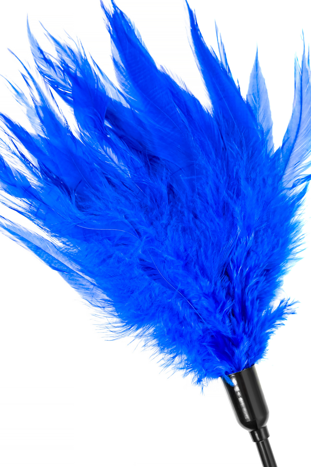 Набор аксессуаров Eromantica Fantasy Midnight синий