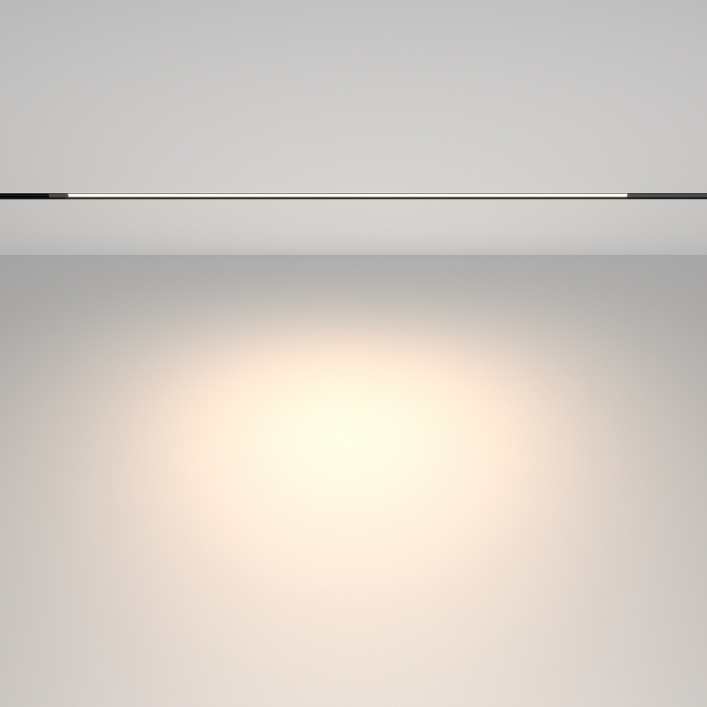 Магнитный трековый светильник Maytoni Exility Basis TR231-2-15W4K-B