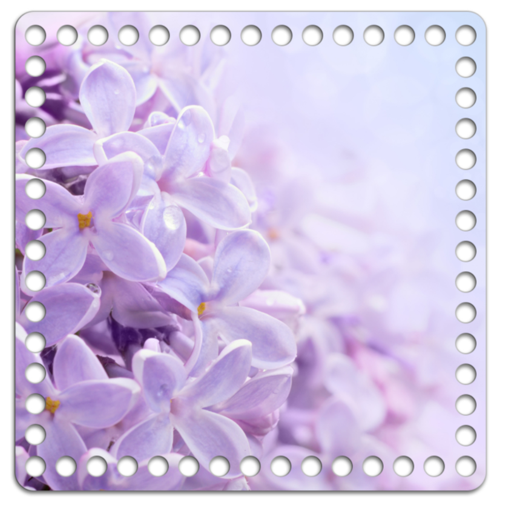 Донышко Принт 20*20см