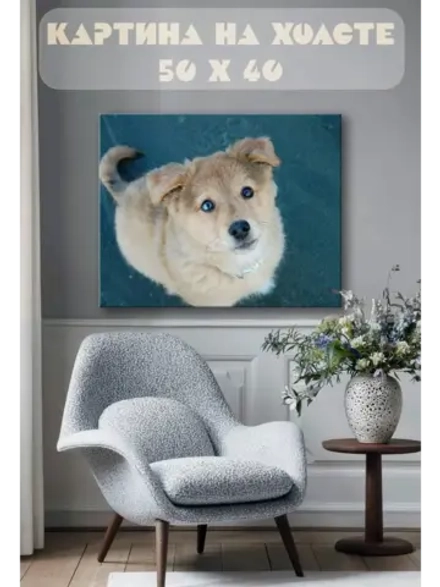 Картина на стену 40 X 50 Собака