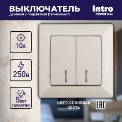 Выключатель Intro Solo 4-105-02 двухклавишный с подсветкой, 10А-250В, IP20, СУ, слоновая кость