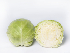 Сунта F1 семена капусты белокочанной (Takii / Таки)