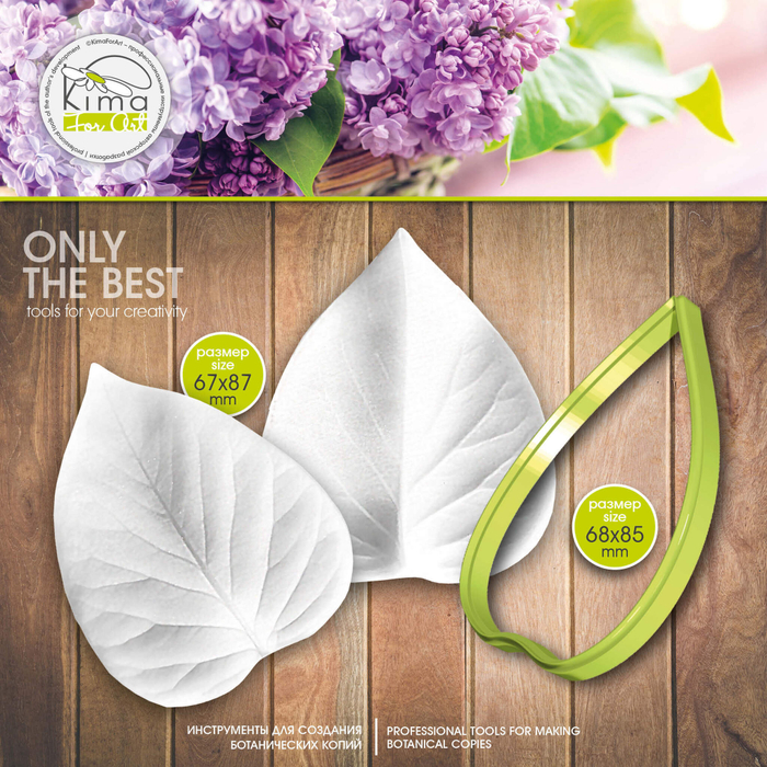 Сирень лист большой