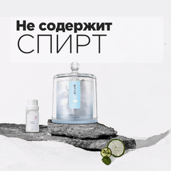 Диффузор ароматический для дома с минералами ПЕРВЫЙ СНЕГ