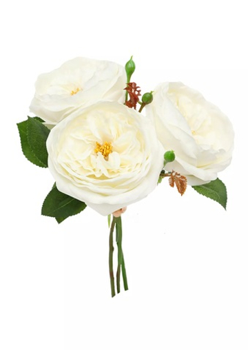 Букет роз Дэвида Остина (3шт. в букете)