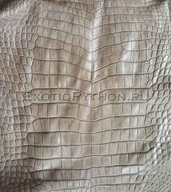 Кожа крокодила SK-47