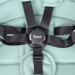 Детская коляска Rant Falcon 2 в 1 Green