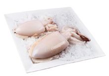 Каракатица замороженная, 1кг Каракатица замороженная, 1кг