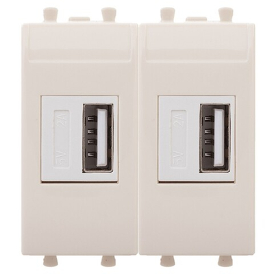 USB зарядное устройство модульное, "Avanti", "Ванильная дымка", 2 модуля