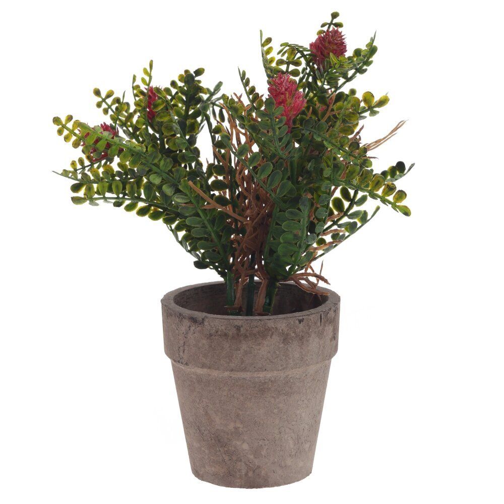 GAEM Цветочная композиция, L9 W9 H18 см, 5в.