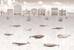 Коллекция Подводный мир