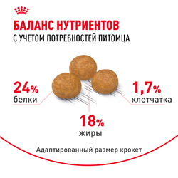 Royal Canin X-Small Adult Корм сухой для взрослых собак очень мелких размеров от 10 месяцев - 3 кг
