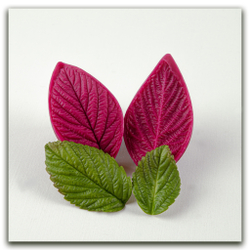 Лист малины средний