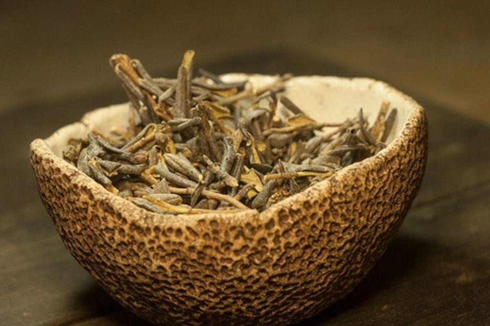 Саган-Дайля