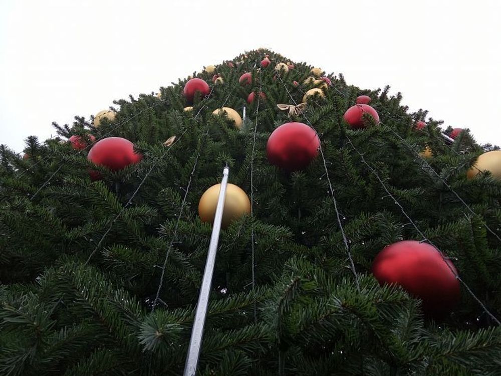 Уличная Гирлянда: холодный белый "Тающие сосульки" для елок от 3 до 19 м