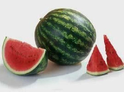 Романза F1 семена арбуза (Syngenta / Сингента)