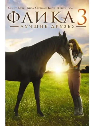 Флика 3 (2012) (DVD-R)