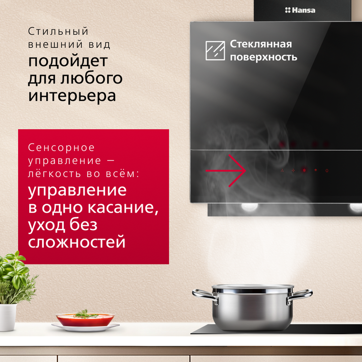 Наклонная вытяжка Hansa Pro Chef OKP6547SH