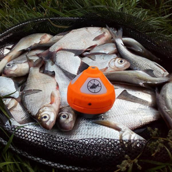 Беспроводной эхолот Практик 7 Wi-Fi