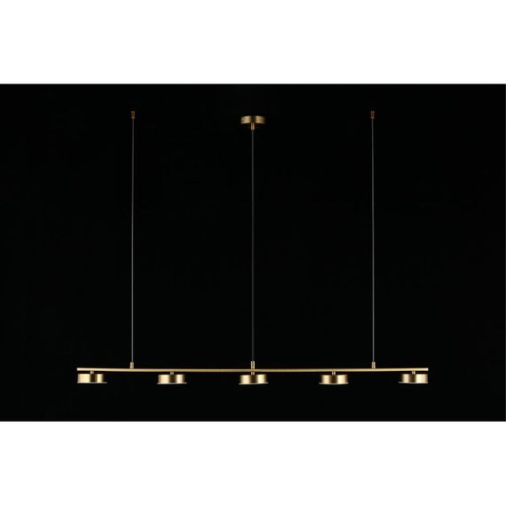 Подвесная светодиодная люстра Aployt Usia APL.047.13.35