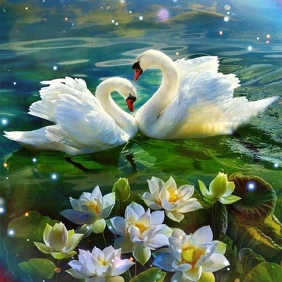 Посвящения в Белваспата