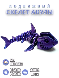 Скелет Акула