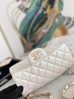 Chanel Flap 20 cm