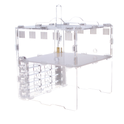 муравьиная ферма Crystal L pro