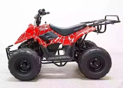 Электроквадроцикл GreenCamel Гоби К55 (36V 800W R7 Цепной привод)