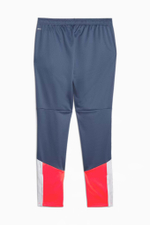 Штаны Puma individualCUP Training