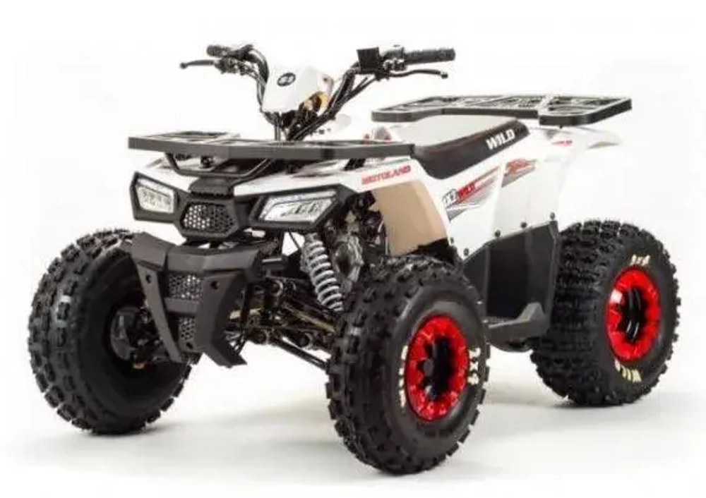 Квадроцикл Motoland 125 WILD (2020 г.)