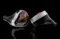 Noble Audio Sultan