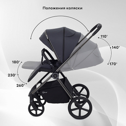 Детская коляска Rant Teo Black Chrome 3 в 1 Graphite