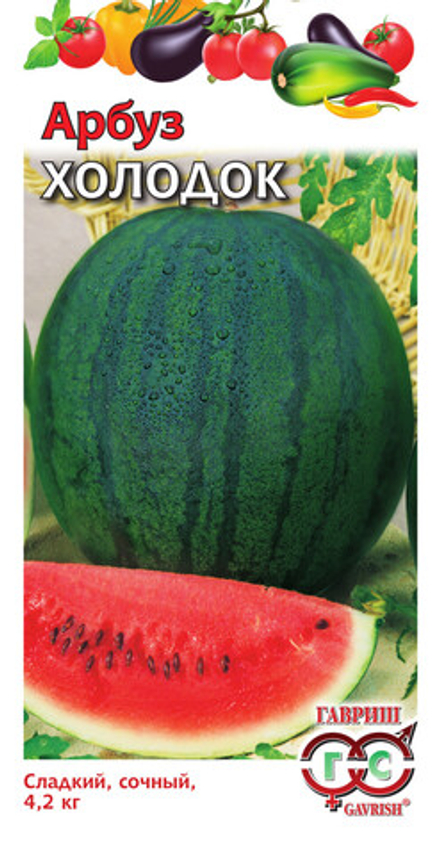 Арбуз Холодок Гавриш